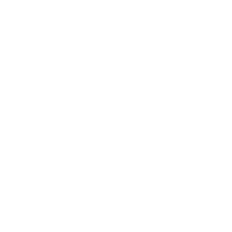 H-Prinzip